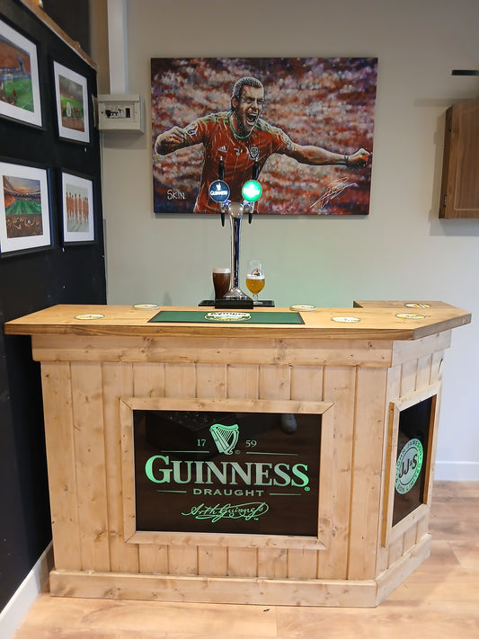 Home Bar Double Tap Kit (Guinness, Heineken) - TheKegCru.ie