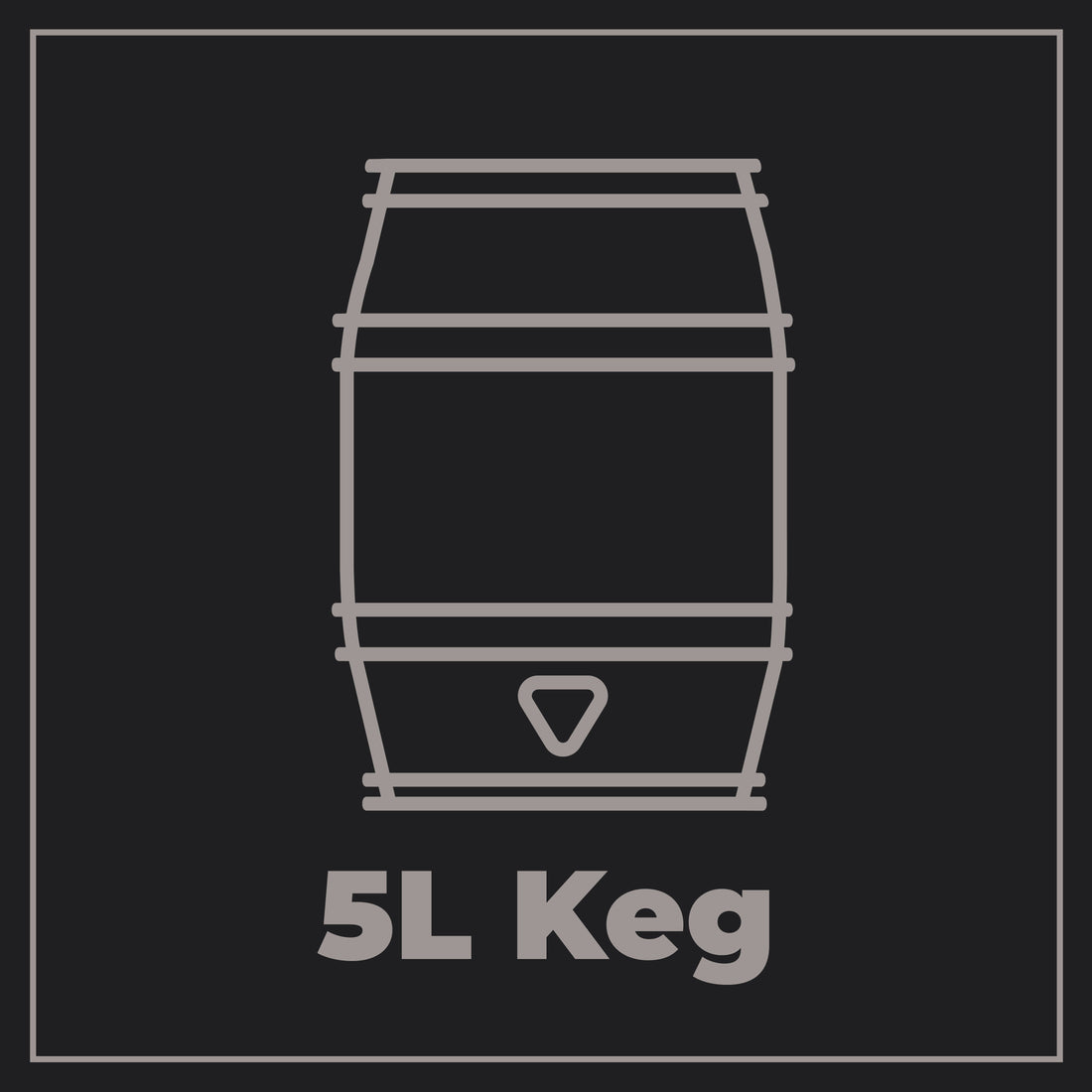 5L Mini Kegs in Ireland: Pints, Storage & Dispensing