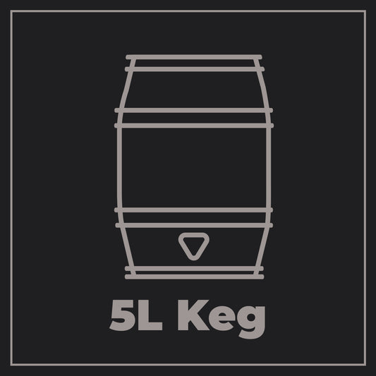5L Mini Kegs in Ireland: Pints, Storage & Dispensing