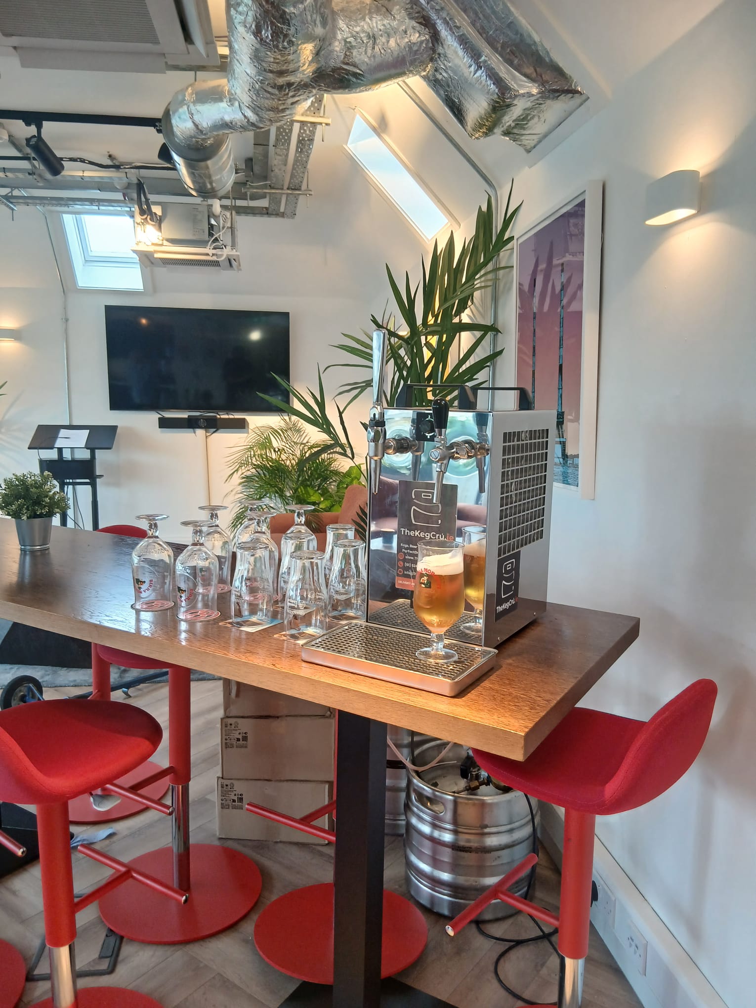 Rental – Two Tap Beer Tap With Gas – For Lager, Ale, Cider & Nitro Beers - TheKegCru.ie