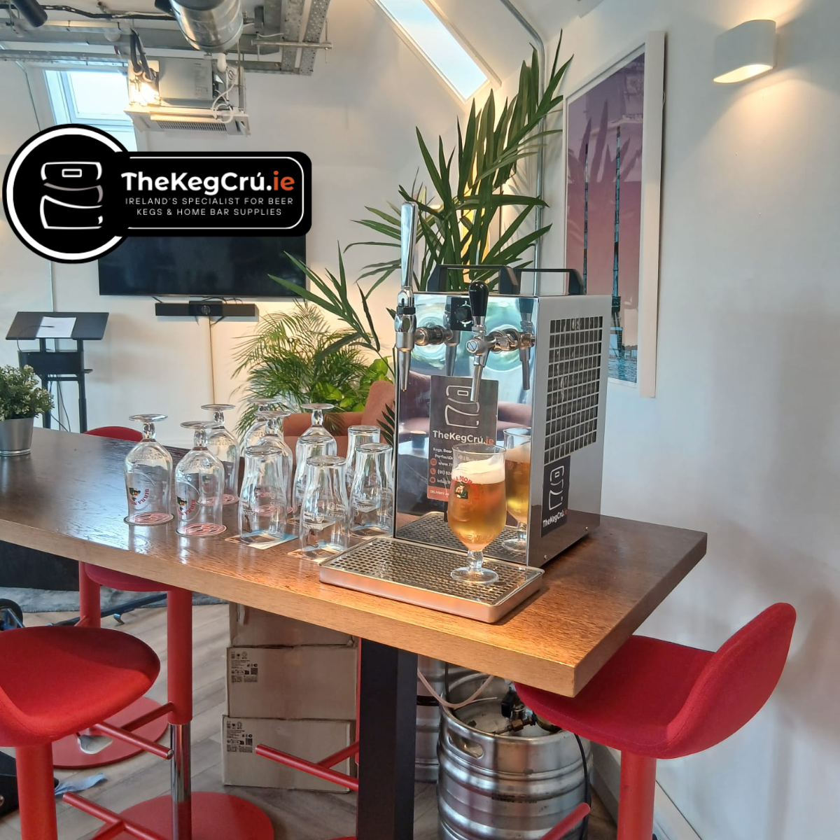 Rental – Single Tap Nitro Beer Tap With Gas – For Guinness & Nitro Beers - TheKegCru.ie