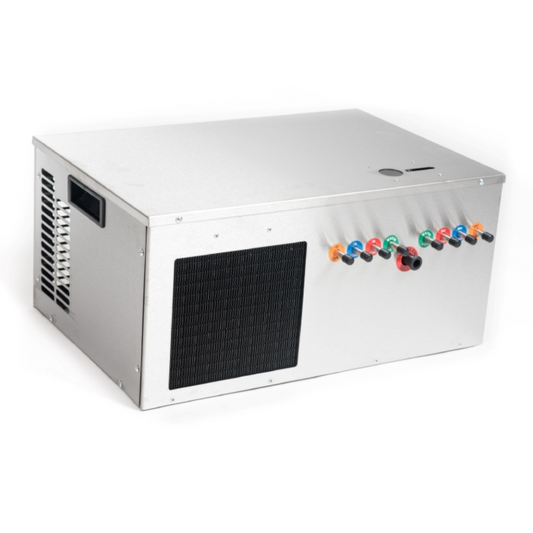 G20 2 Track Shelf Ice Bank Cooler - TheKegCru.ie